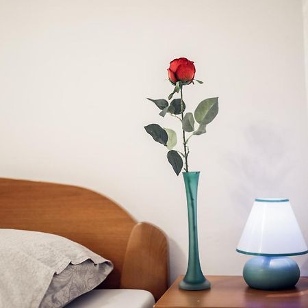 Sobe Pavica Apartment Ilok Bagian luar foto